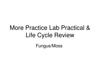 More Practice Lab Practical &amp; Life Cycle Review