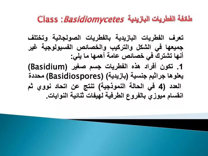 class basidiomycetes