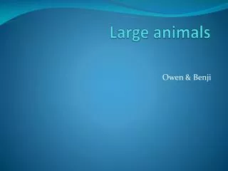 Large animals