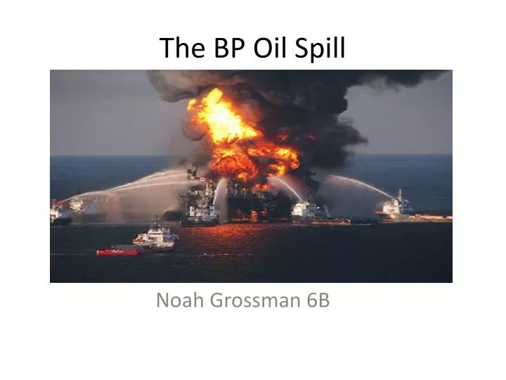 the bp oil spill