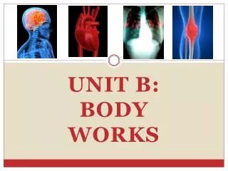 Unit B: Body Works