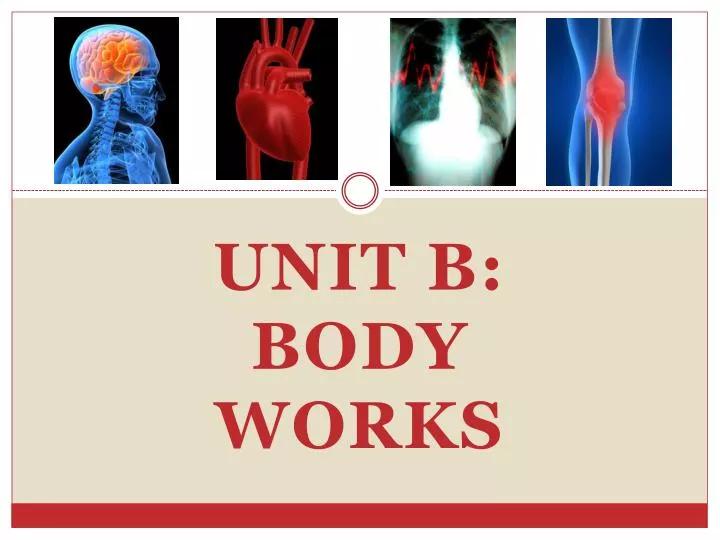 unit b body works