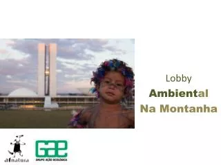 lobby ambient al na montanha