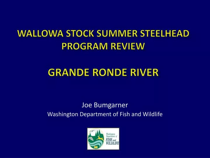 wallowa stock summer steelhead program review grande ronde river