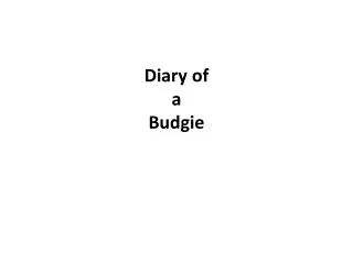 Diary of a Budgie