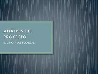an lisis del proyecto