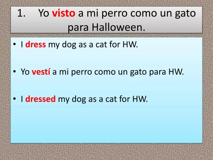 1 yo visto a mi perro como un gato para halloween