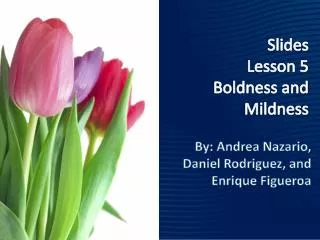 Slides Lesson 5 Boldness and Mildness