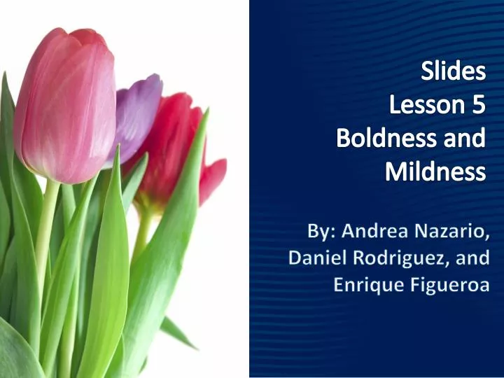 slides lesson 5 boldness and mildness