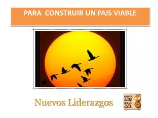 nuevos liderazgos