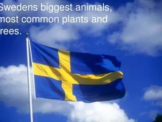Swedens biggest animals, most common plants and trees .