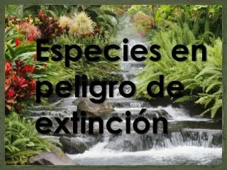 especies en peligro de extinci n