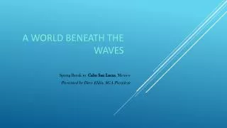 a world beneath the waves