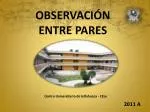 OBSERVACIÓN ENTRE PARES - slide 1