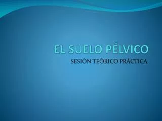 el suelo p lvico
