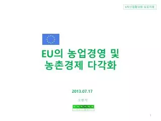 eu 2013 07 17