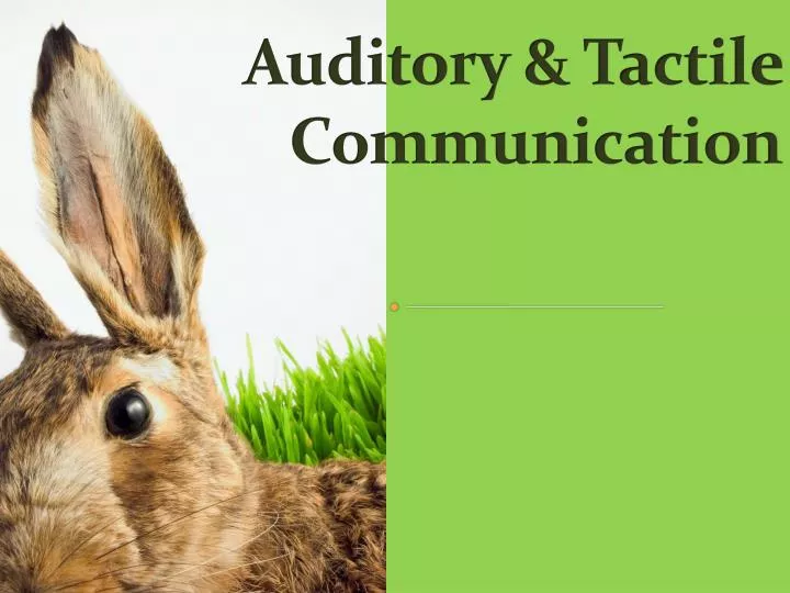 auditory tactile communication