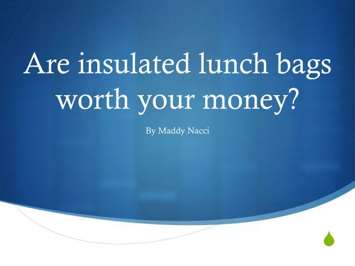 are insulated lunch bags worth your money