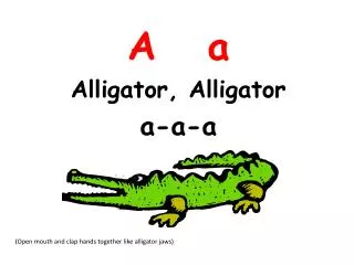 A a Alligator , Alligator a-a-a