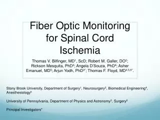 Fiber Optic Monitoring for Spinal Cord Ischemia