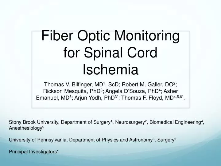 fiber optic monitoring for spinal cord ischemia