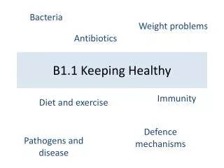 B1.1 Keeping Healthy