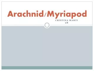 Arachnid/ Myriapod