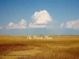 The Prairie Plains