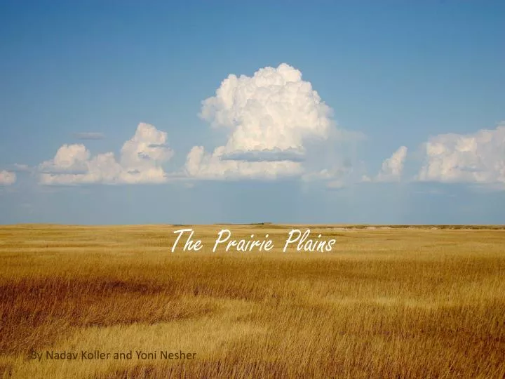 the prairie plains
