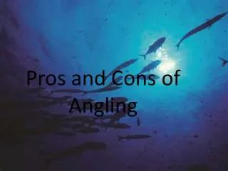 Pros and Cons of Angling