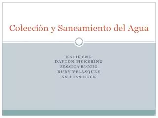 colecci n y saneamiento del agua