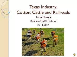 Texas Industry: Cotton, Cattle and Railroads