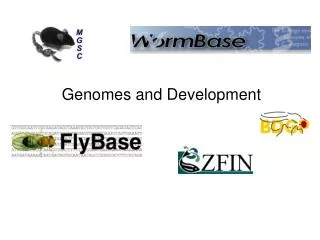 Genomes and Development