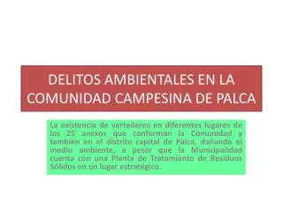 delitos ambientales en la comunidad campesina de palca