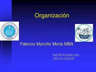 organizaci n