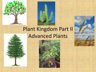 Plant Kingdom Part II Advanced Plants
