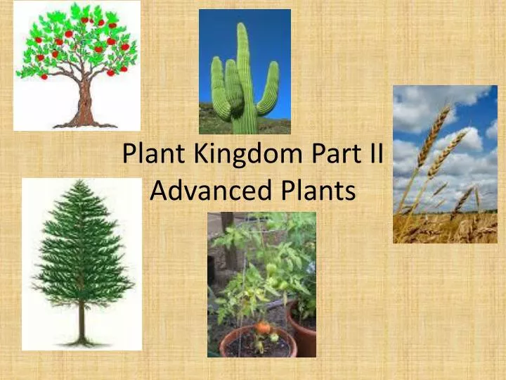 plant kingdom part ii advanced plants