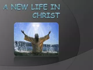 A New Life In Christ