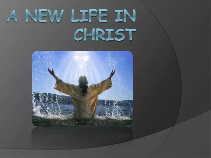 a new life in christ