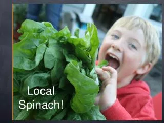 Local Spinach!