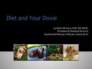 Diet and Your Doxie