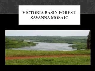 Victoria Basin Forest- SAVANNA MOSAIC