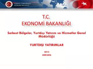 serbest b lgeler yurtd yat r m ve hizmetler genel m d rl yurtdi i yatirimlar 2013 ankara