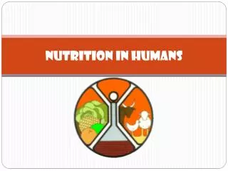 Nutrition in Humans