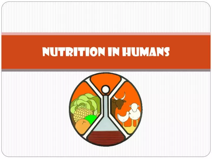 nutrition in humans