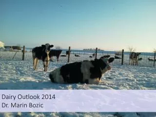 Dairy Outlook 2014 Dr. Marin Bozic