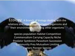 species population the population of a specific species