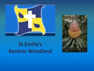 St Emilie’s Banksia Woodland
