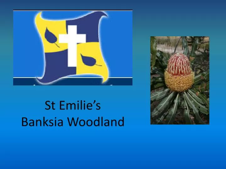 st emilie s banksia woodland