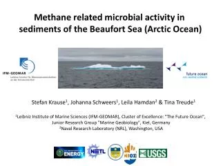 Methane related microbial activity in sediments of the Beaufort Sea (Arctic Ocean )